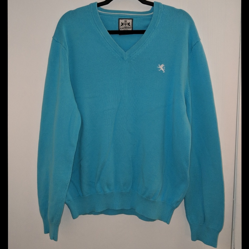 Express V-Neck Sweater